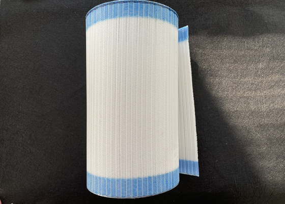 200℃ Temperature Resistant Polyester Sludge Belt Plain Weave Glue Edge