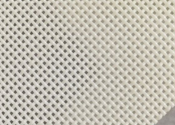polyester Mesh Belt Square Hole For de taille de trou de 1x1mm séchant la nourriture pour poissons