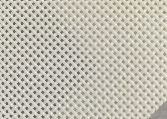polyester Mesh Belt Square Hole For de taille de trou de 1x1mm séchant la nourriture pour poissons