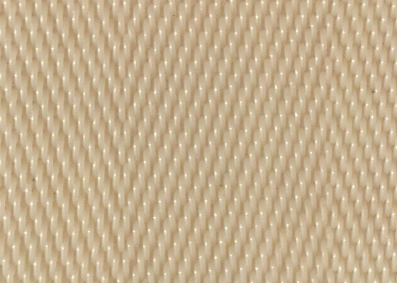 Polyester de résistance Mesh Screen For Sludge Dewatering d'acide et d'alcali