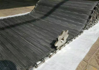remplir de mise en bouteilles en verre de structure simple de bande de conveyeur de lien de plat de 316L solides solubles