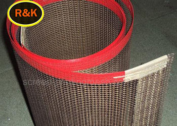Nourriture 4*4mm sèche revêtue de téflon Ptfe Mesh Belt