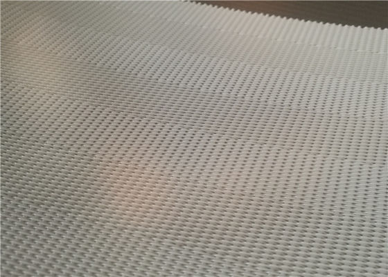 Ceinture de asséchage de monofilament de boue en arête de poisson de polyester