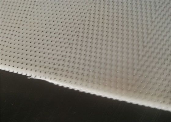 Polyester résistant à l'acide Mesh For Belt Press Dewatering de monofilament