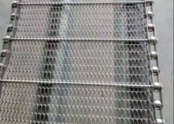 Séchage en acier de Mesh Conveyor Belt Braided Conveyor du monofilament 201 inoxydable
