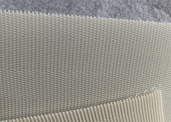 Ceinture de asséchage de boue de polyester du moulin à papier 0.1m pour le serrage de canne à sucre